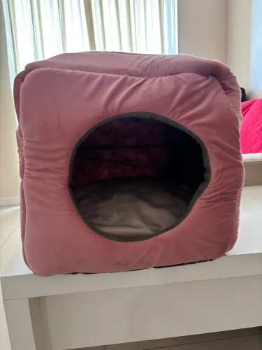 CASINHA TOCA PET 2 em 1 NOVA!