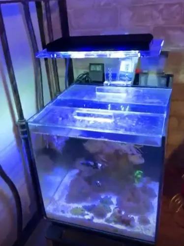 Aquario nano completo