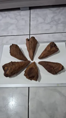 Nó de pinho