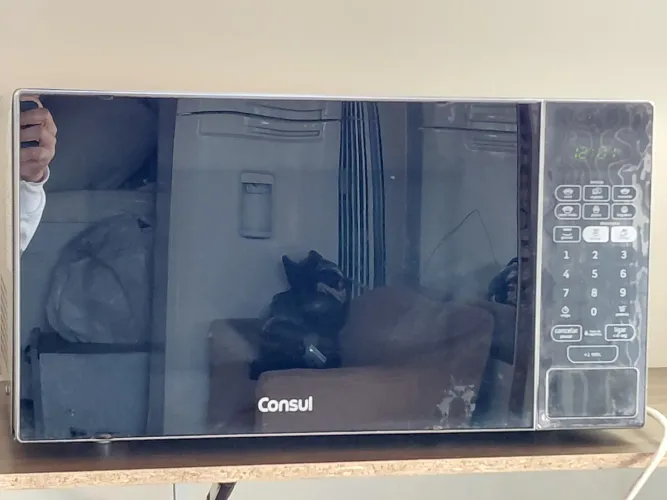 Micro-ondas espelhado
