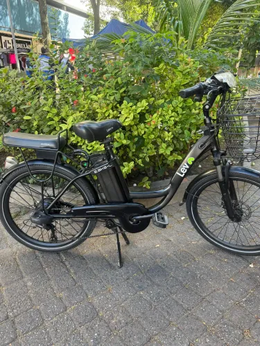 E-Bike L Lev aro 24