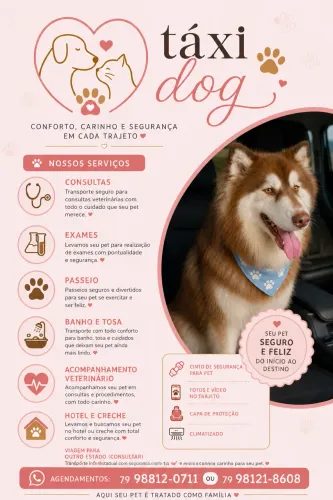 Táxi dog 