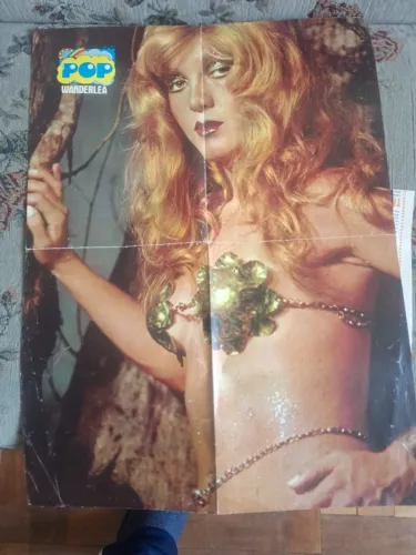 POSTER WANDERLÉA REVISTA  POP