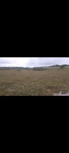Vendo terreno na região da Formiga no distrito de Maria Quitéria em Feira de Santana