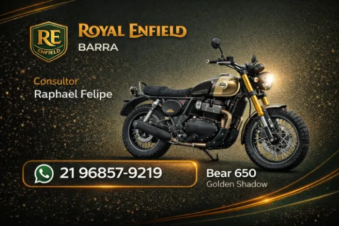 BEAR 650CC GOLDEN SHADOW 26/27 0KM - RAPHAEL FELIPE   2 1 9 6 8 5 7 9 2 1 9