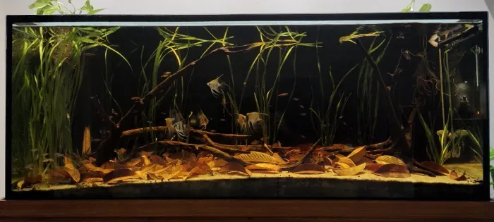 Aquário completo 450l (150x50x60cm), vidro com 12mm.