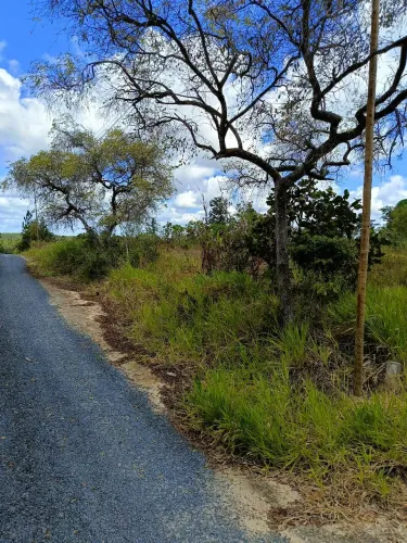 Terreno Curralinho / Linha Verde 
