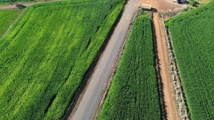 Imóvel rural, 12 m² no Área Rural de Luziânia em Luziânia