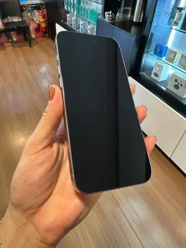 Seminovo 16 PRO MAX 256GB - lojas física