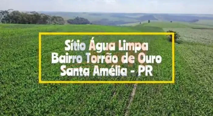 Sítio para Venda em Santa Amélia, Centro