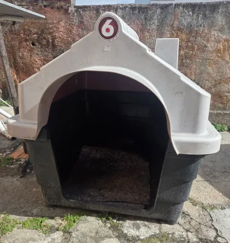 Casinha para cachorro.