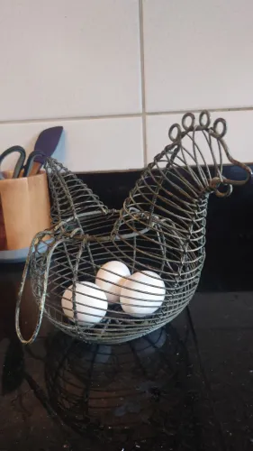 Galinha de ovos