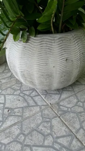 Jarros para ornamentação 