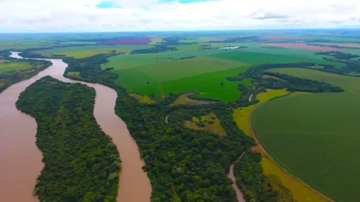 Fazenda Santa Cruz Goiatuba Goiás.