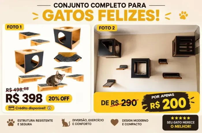 Playground de gatos