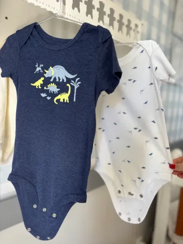 Bodyes Carters