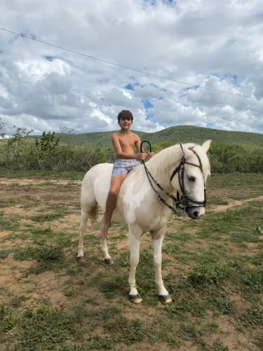 Cavalo pentyrose