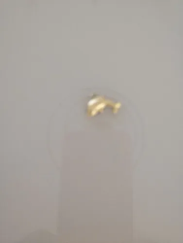 VENDO MEDALHA FORMATO PEIXE