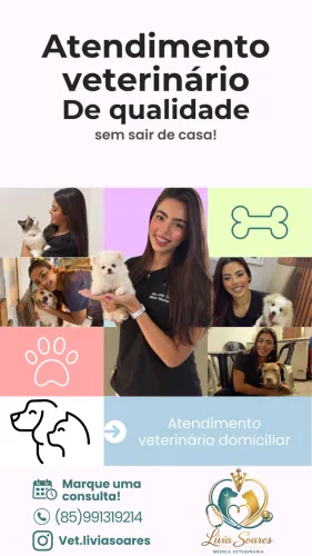 Atendimento veterinário a domicílio 