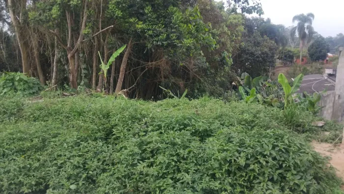 Terreno chacrinha