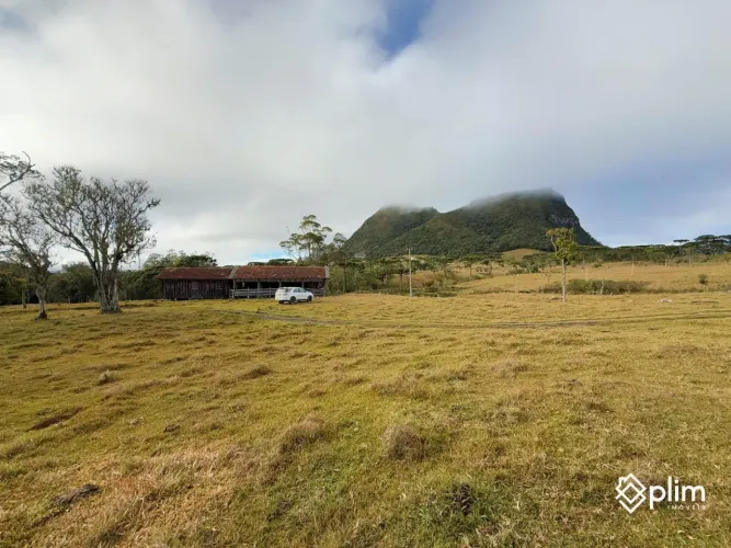 Fazenda de 113 Hectares na Santa Bárbara - Alfredo Wagner