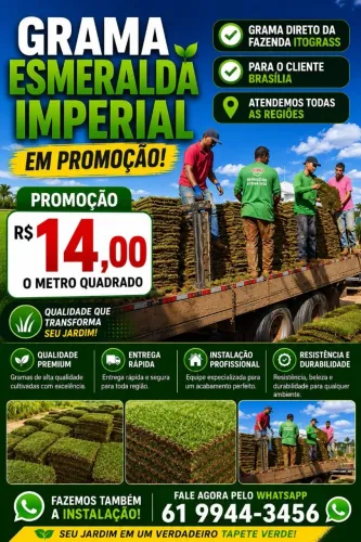 Esmeralda Imperial de Qualidade - Entrega e Plantio