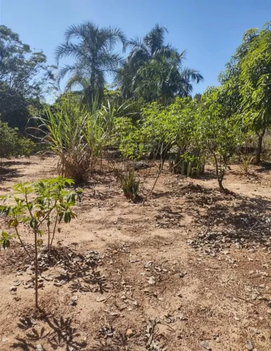 Chacara para venda Condomínio São José, Ponte do Funil - Limeira/SBO