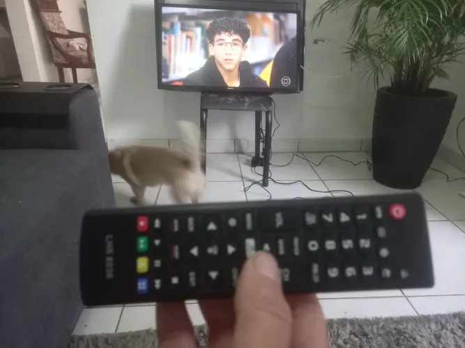 TV Samsung 32 polegadas digital novinha zera não é smart 