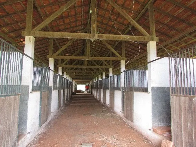 Sorocaba Região Lindo Haras 36 Alqueires