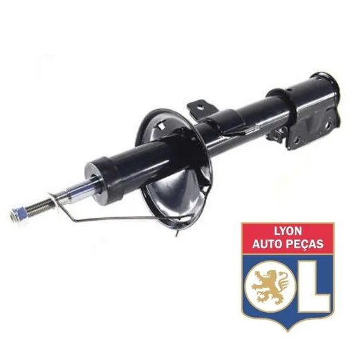 Amortecedor Dianteiro Duster  4x2 e 4x4 automática ou mecânica 