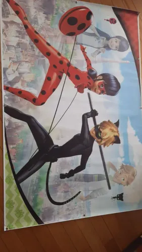  Ladybug e Cat Noir painel festa aniversário