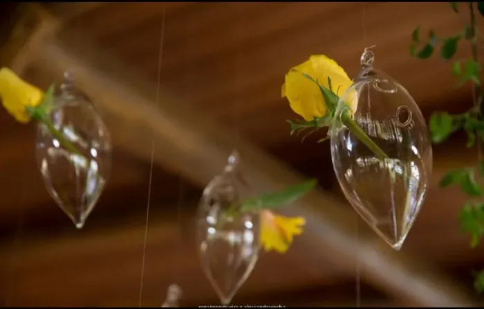 Vendo conjunto de 15 peças vaso de vidro suspenso para decoração