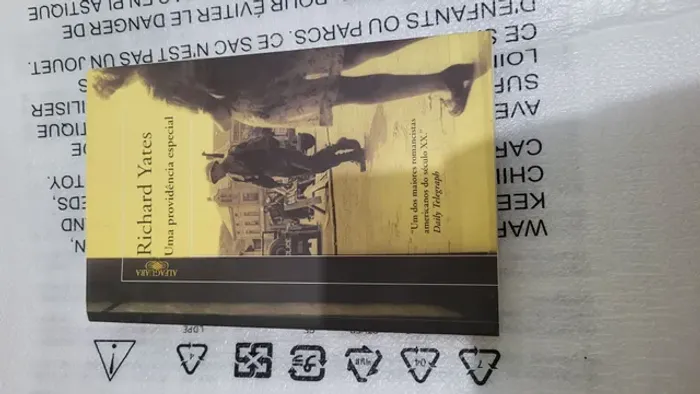 Livro Uma providência especial 