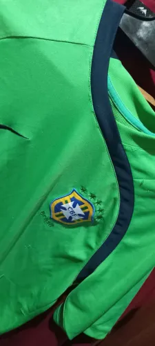 Camisa de goleiro selecao nike verde ( usada) tamanho S