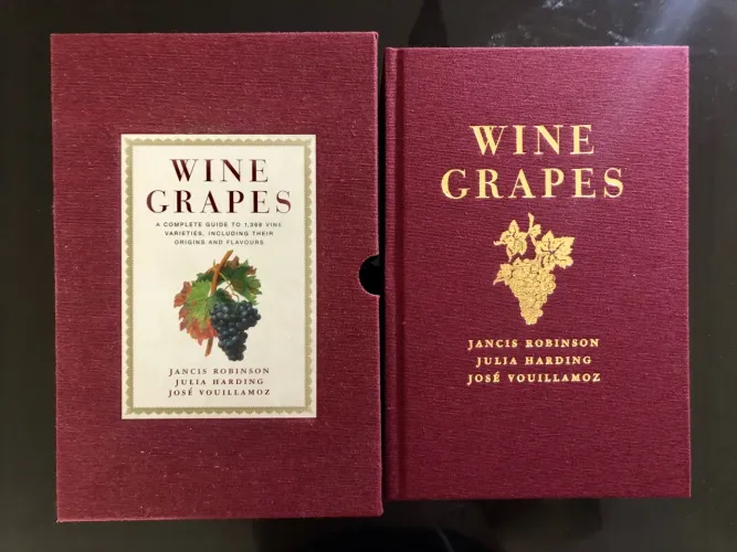 Wine Grapes - Guia Completo de Uvas para Vinho