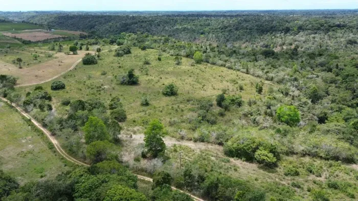 Fazenda à Venda - Santa Cruz Cabrália