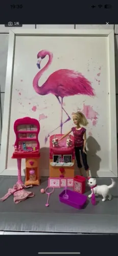Kit Barbie Veterinária Gatos