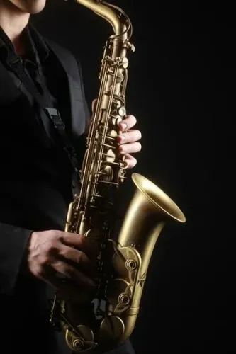 Saxofonista e Flautista para seu evento 