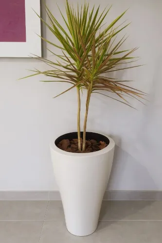 Vaso para plantas Mid