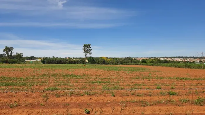 Fazenda/Sítio/Chácara para venda tem 12450 metros quadrados em Fazenda Salinos - Goiânia -