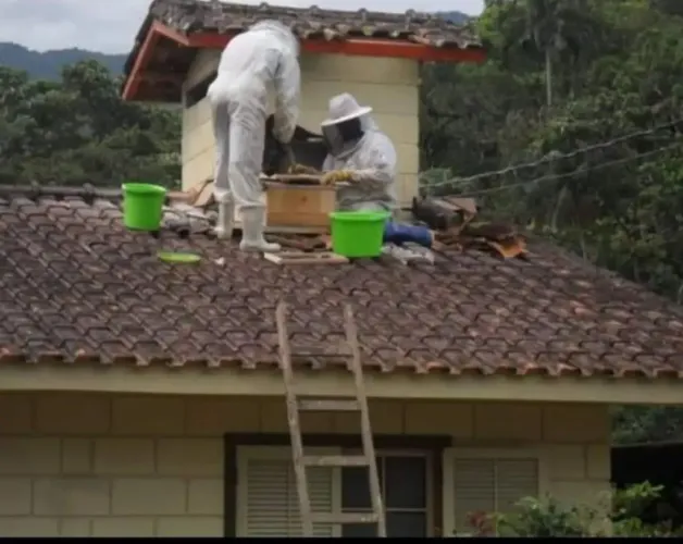 Apicultor profissional 