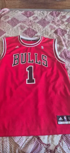Camisa Original Chicago Bulls usada (G)