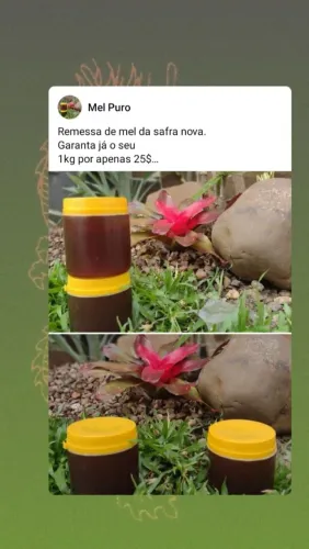 Mel Puro da Safra Nova - 1kg