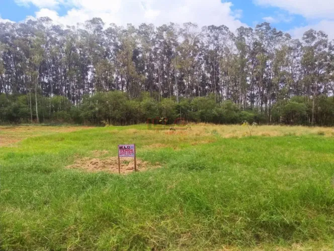 Villa Verde / Terra Bella / Chacara / terreno / Rodovia Deputado Silvio Barros