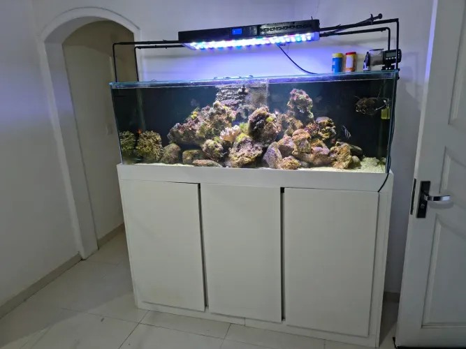 Aquário marinho completo
