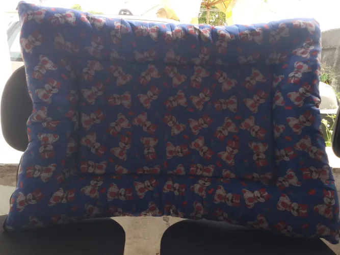 Vendo item para o seu cão