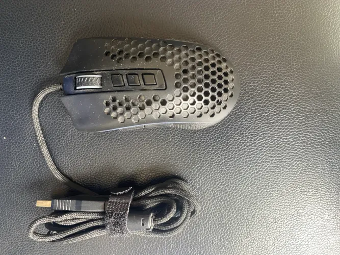 Mouse