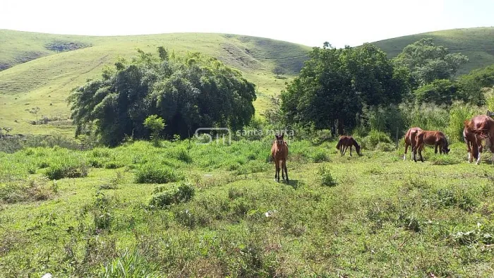 SÍTIO PLANO, COM CASA, PROXIMO À VIA DUTRA LORENA SP