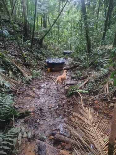 Terreno em Araguaia oportunidade.