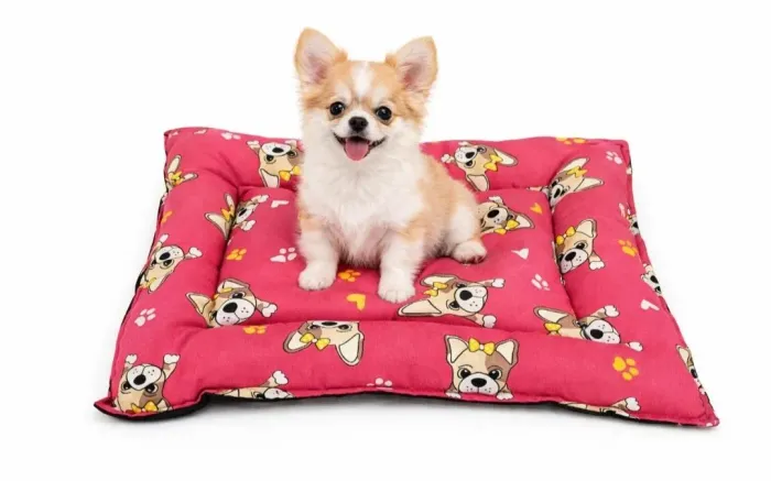 Caminha Colchonete Para Pets Tamanho P Ideal Para Cães E Gatos De Pequeno Porte 